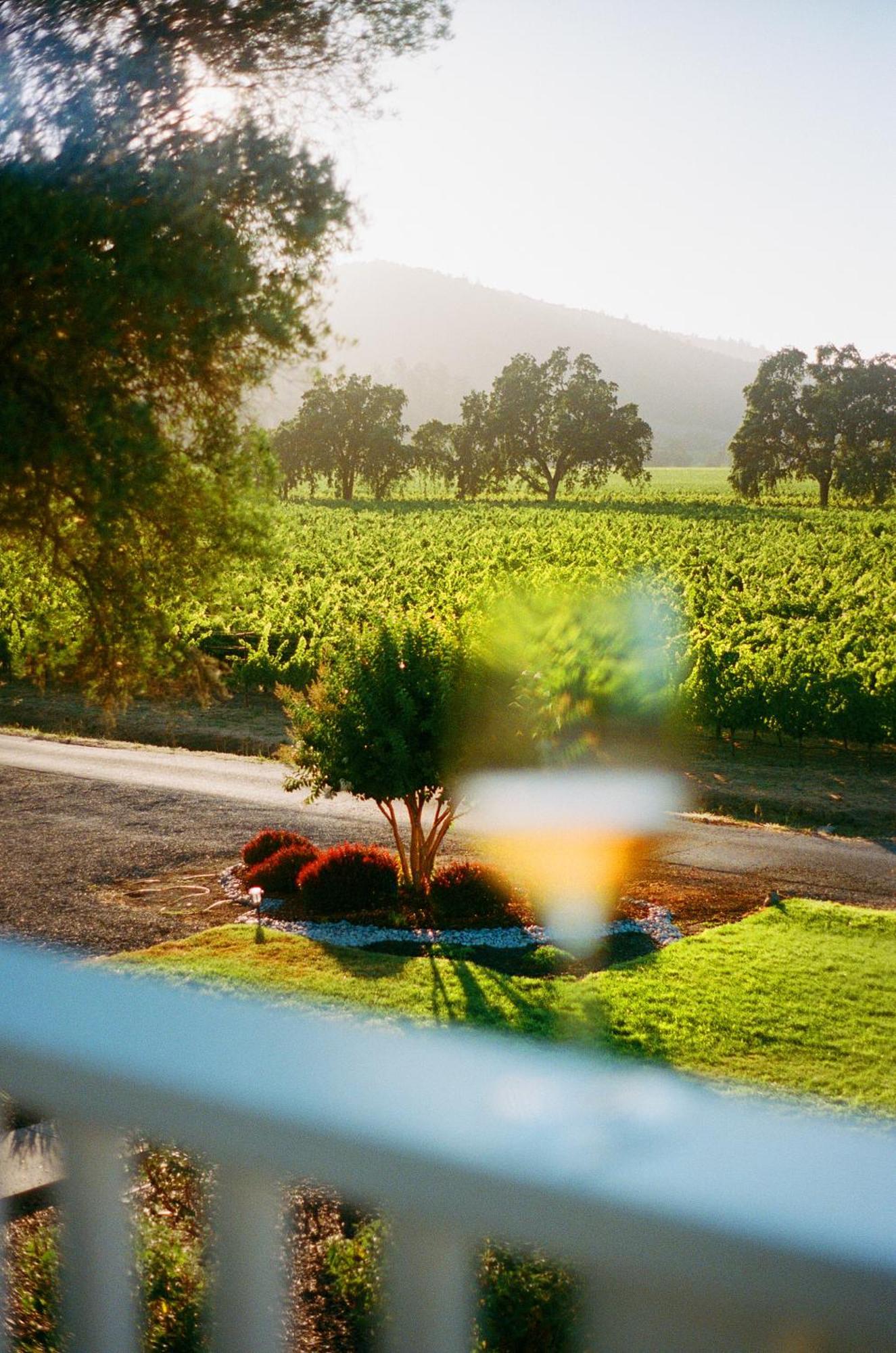 The Setting Inn Napa Valley 외부 사진