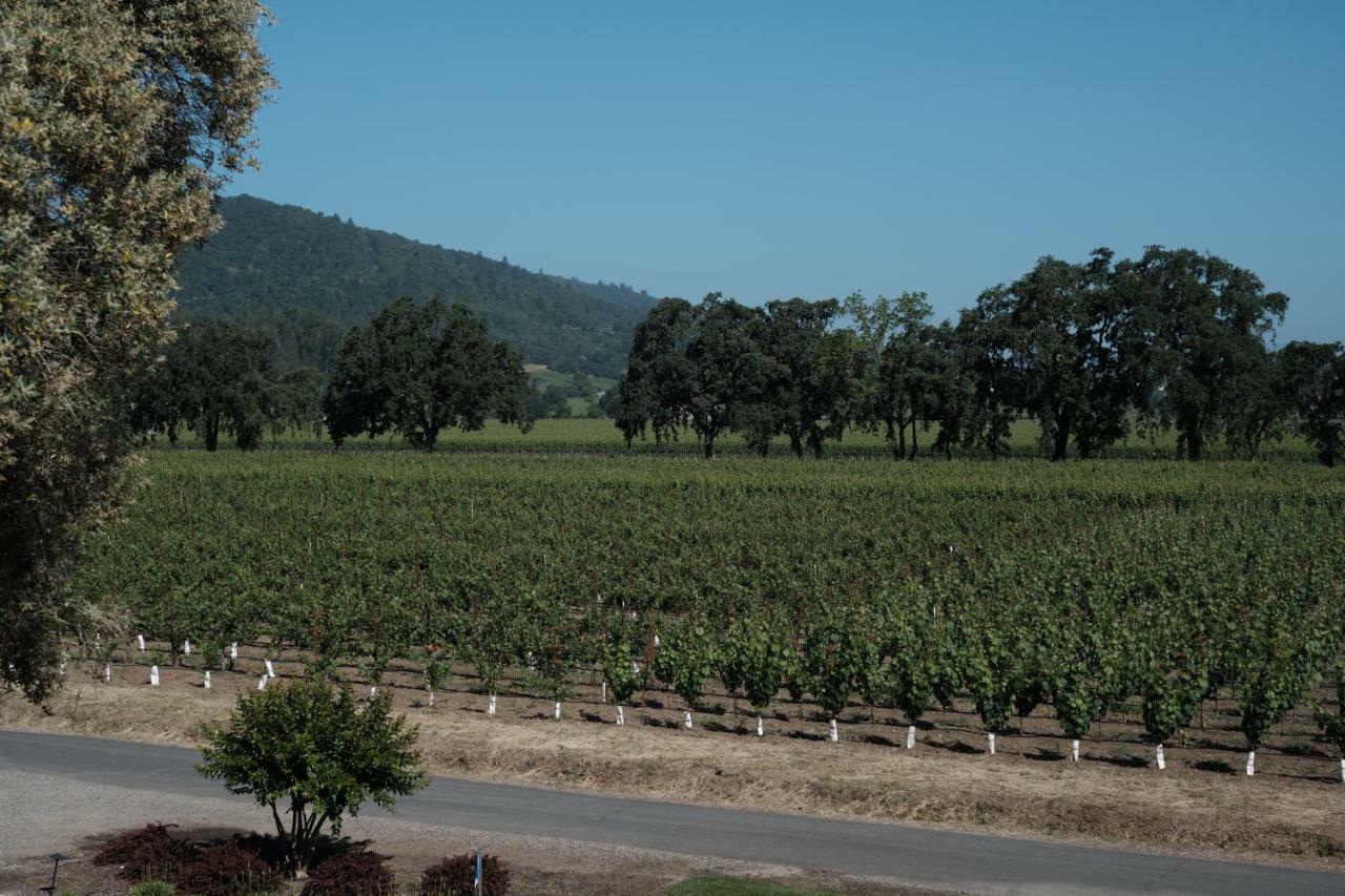 The Setting Inn Napa Valley 외부 사진