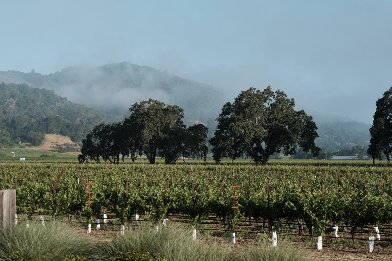 The Setting Inn Napa Valley 외부 사진